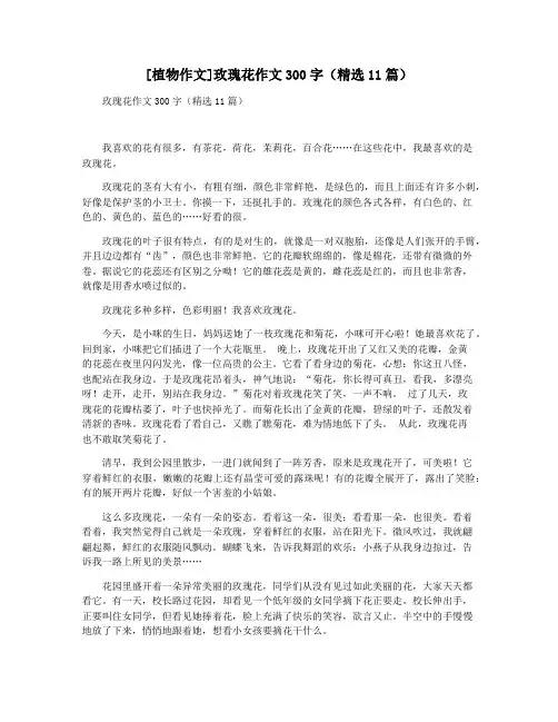 [植物作文]玫瑰花作文300字(精选11篇)