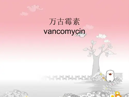 万古霉素 (1)