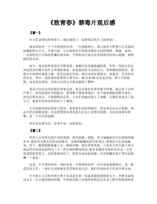 《致青春》禁毒片观后感