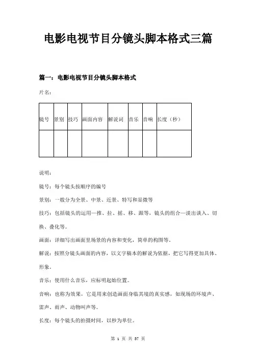 电影电视节目分镜头脚本格式三篇
