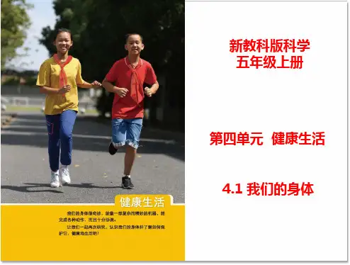 新教科版五年级科学上册《我们的身体》教学课件