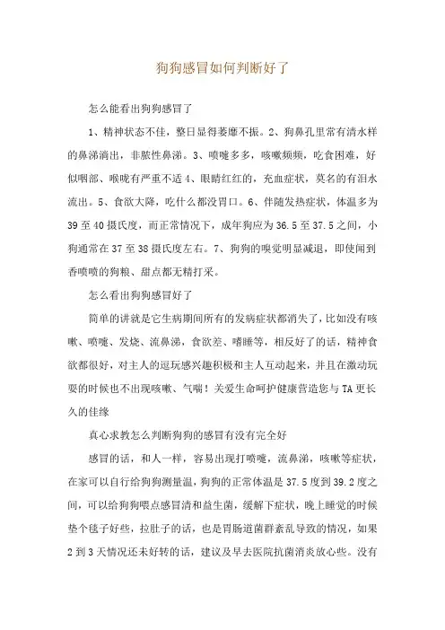 狗狗感冒如何判断好了