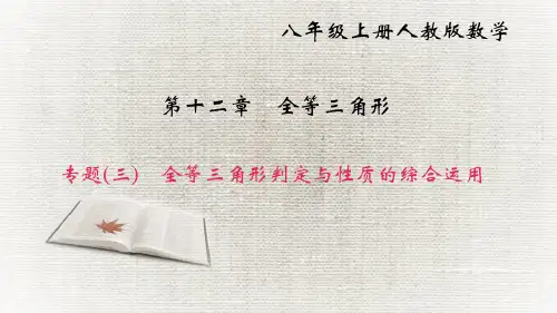 人教版八年级数学上册专题(三) 全等三角形判定与性质的综合运用