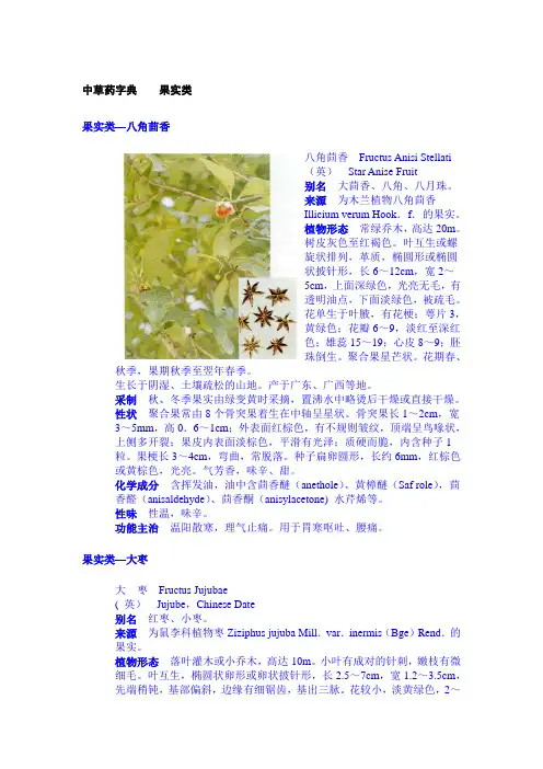 中草药字典果实类大全