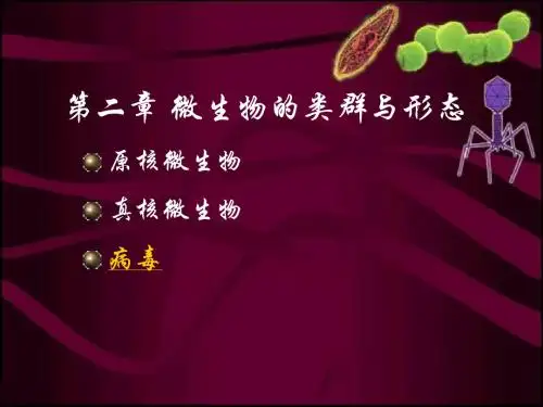 第二章微生物的类群与形态原核微生物真核微生物
