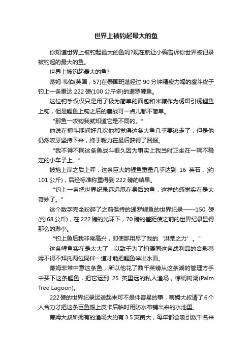 世界上被钓起最大的鱼