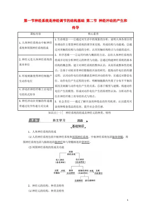 新教材高中生物第二章神经调节第一节神经系统是神经调节的结构基础第二节神经冲动的产生和传导学案浙科版
