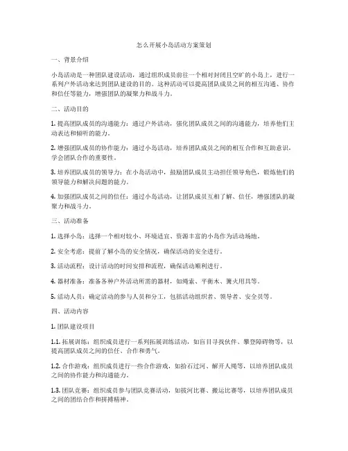 怎么开展小岛活动方案策划