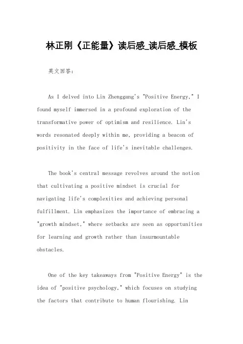 林正刚《正能量》读后感_读后感_模板