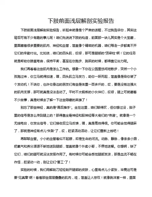 下肢前面浅层解剖实验报告