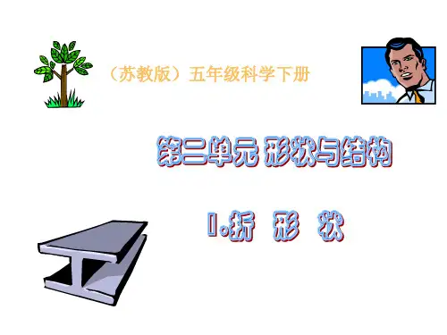 苏教版五年级科学下册《折形状》课件