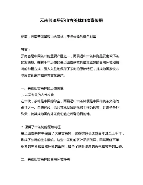 云南普洱景迈山古茶林申遗宣传册