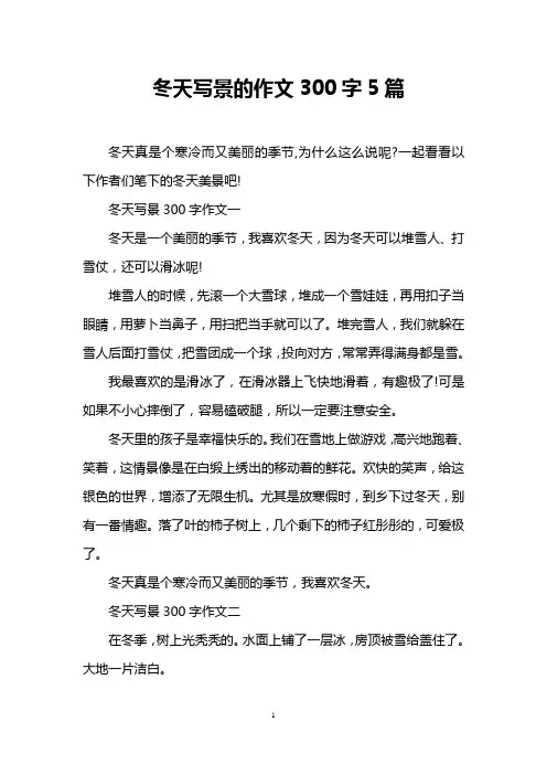 冬天写景的作文300字5篇