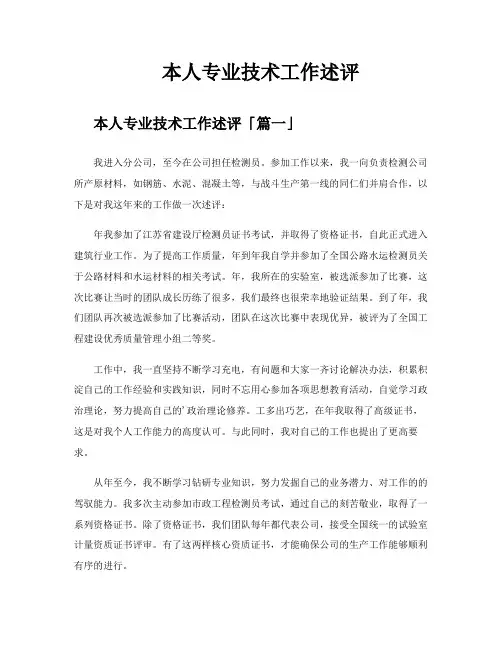 本人专业技术工作述评