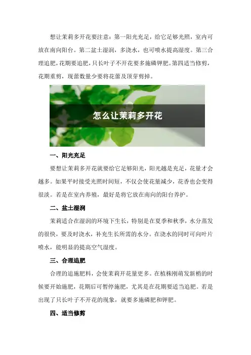 怎么让茉莉多开花