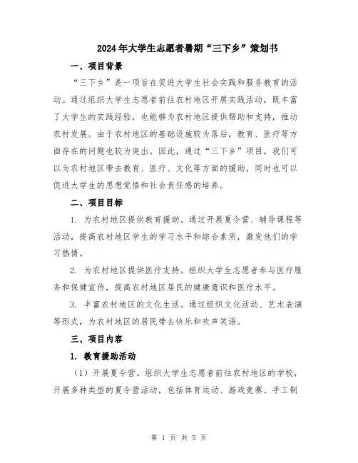 2024年大学生志愿者暑期“三下乡”策划书