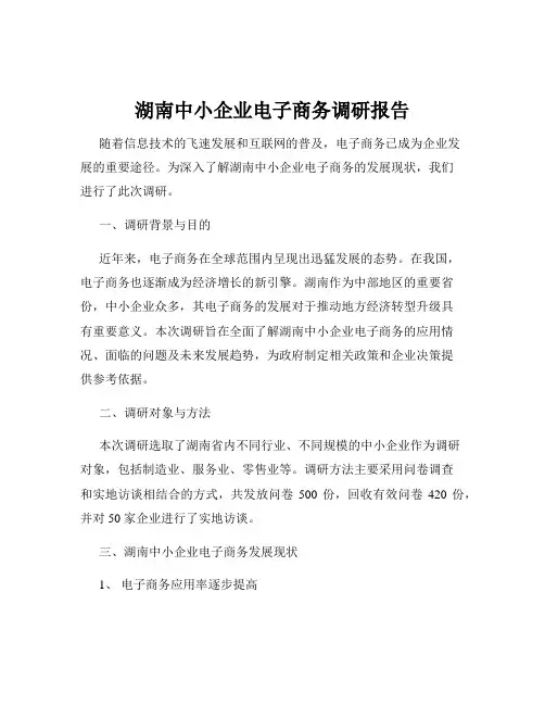 湖南中小企业电子商务调研报告