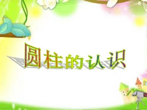 认识圆柱体