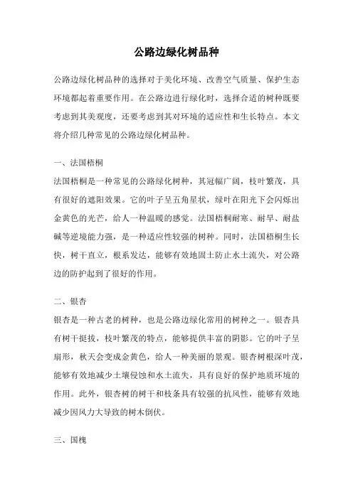 公路边绿化树品种