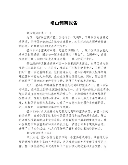 璧山调研报告