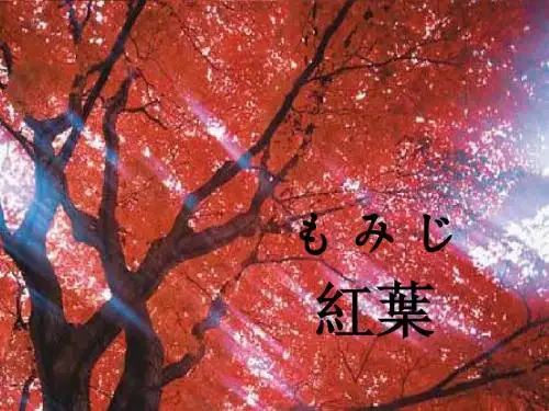 日本红叶