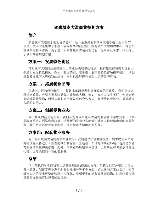 孝感城南大道商业规划方案
