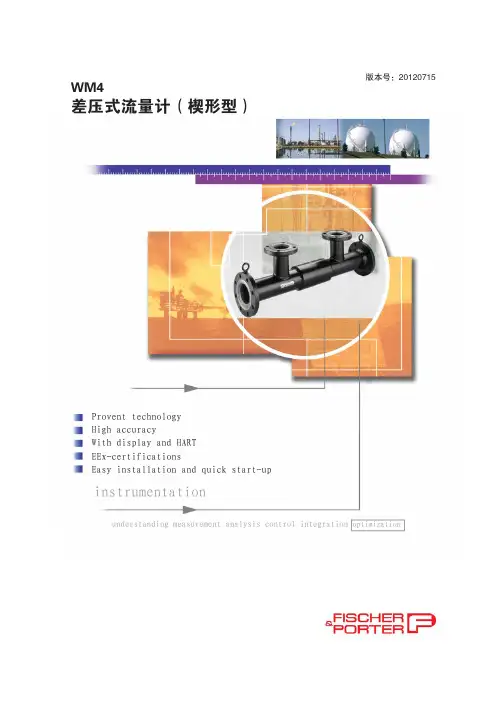 差压式流量计(楔形型)-选型说明书