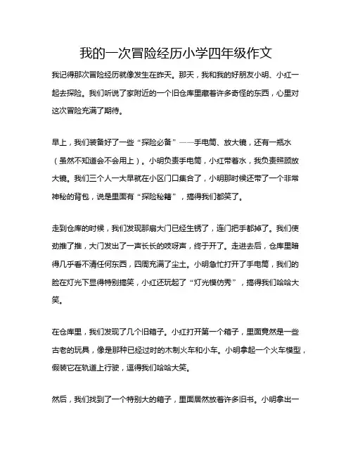 我的一次冒险经历小学四年级作文