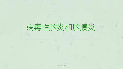 病毒性脑炎和病毒性脑膜炎ppt课件