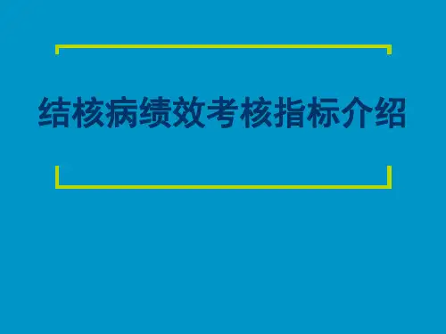 结核病绩效考核指标介绍