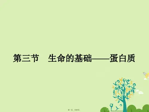高中化学1.3生命的基础蛋白质课件新人教版选修1