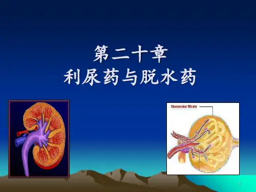 药理学课件第二十章利尿药和脱水药ppt课件