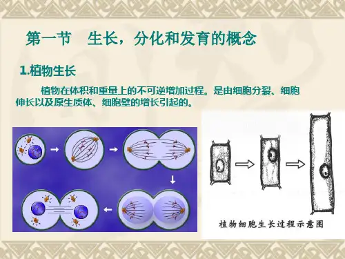 第六章植物的生长生理ppt课件