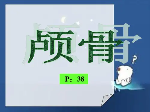 人体解剖学-颅骨