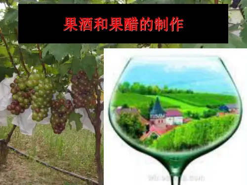 人教版高中生物选修1果酒和果醋
