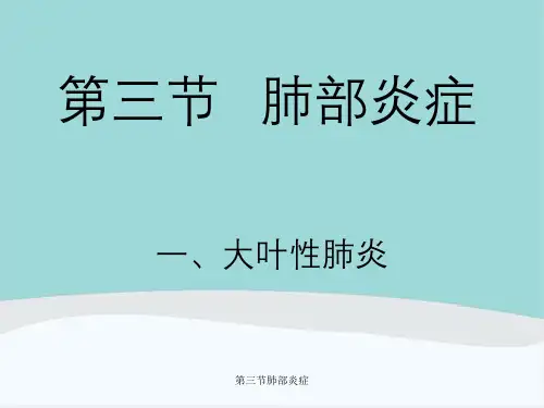 第三节肺部炎症