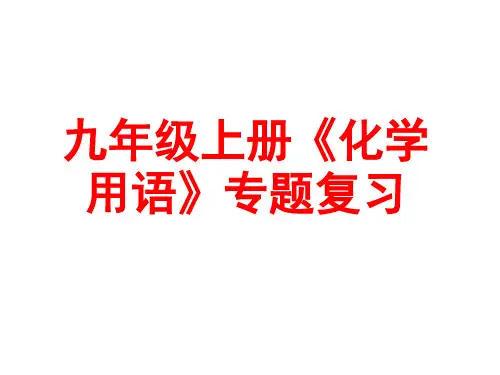 2023年中考化学专题复习---化学用语