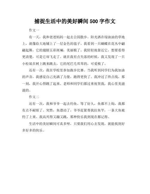 捕捉生活中的美好瞬间500字作文