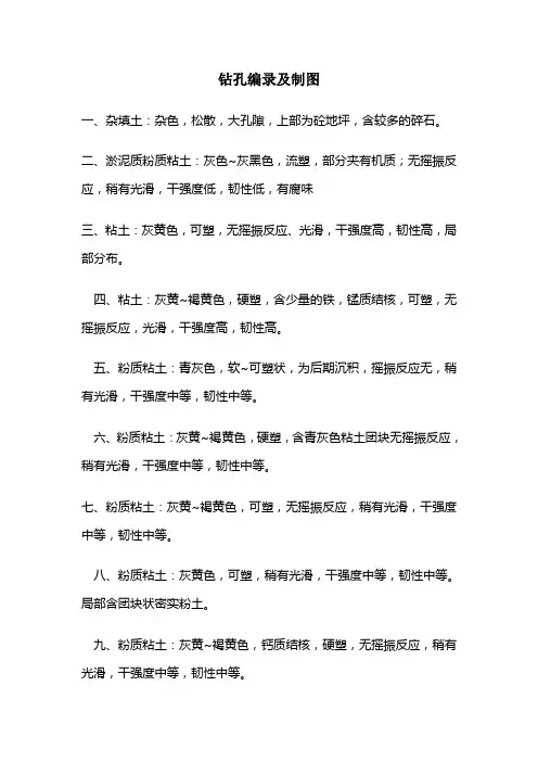 钻孔编录