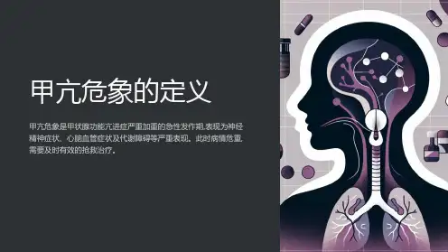 甲亢危象的定义ppt
