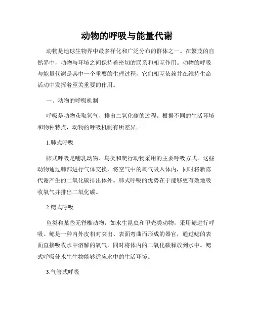 动物的呼吸与能量代谢