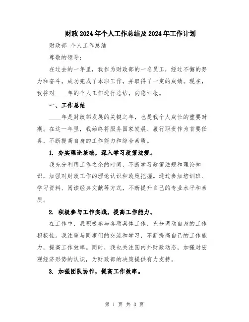 财政2024年个人工作总结及2024年工作计划 (2)