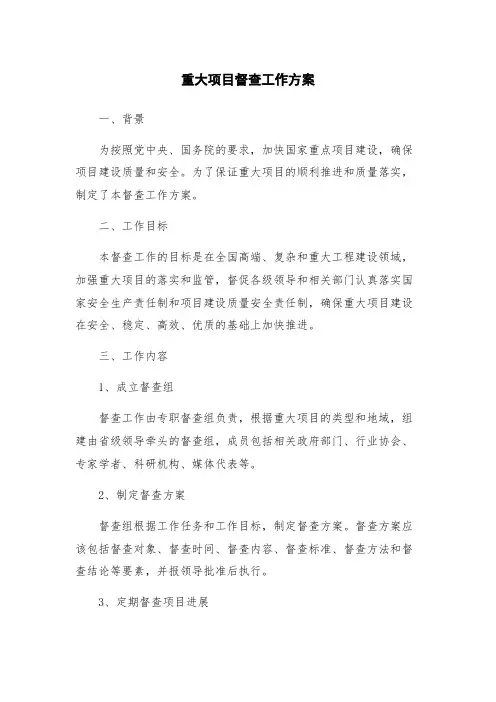 重大项目督查工作方案