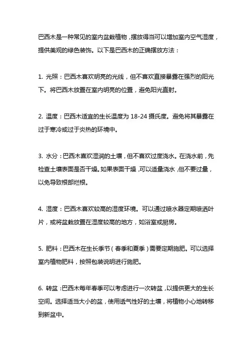 巴西木的正确摆放方法