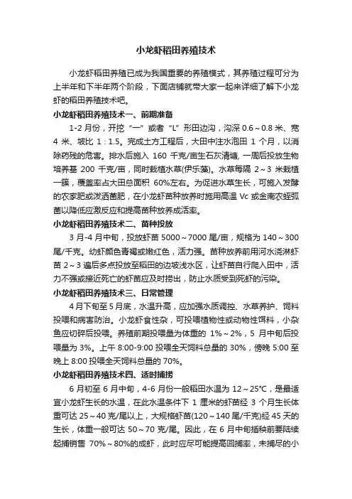 小龙虾稻田养殖技术