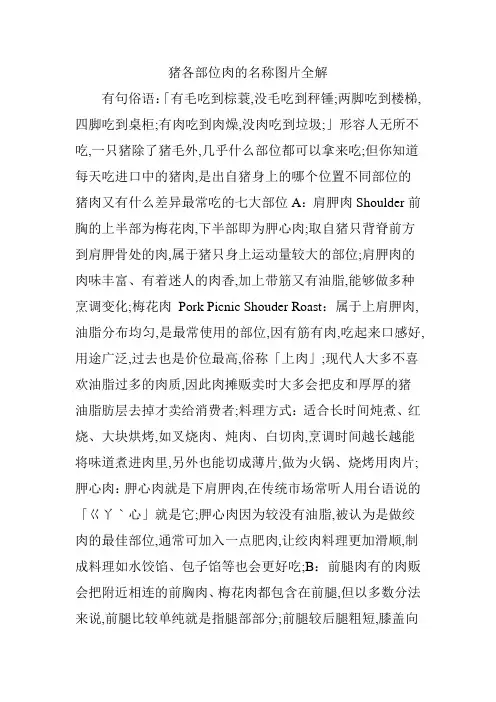 猪各部位肉的名称图片全解