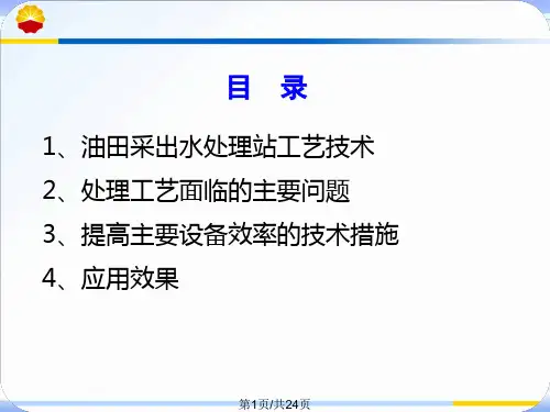 陈忠喜——大庆油田采出水处理工艺及技术最终稿PPT课件