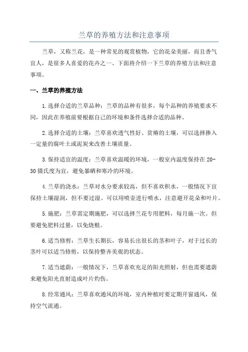 兰草的养殖方法和注意事项