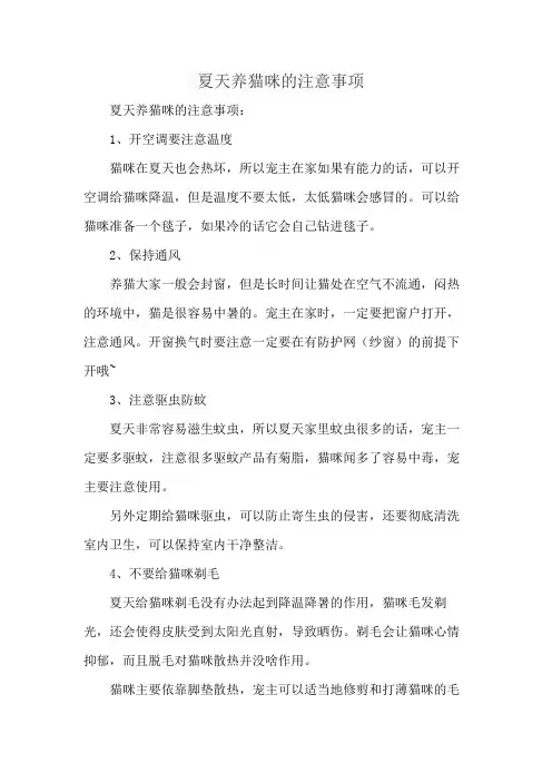 夏天养猫咪的注意事项