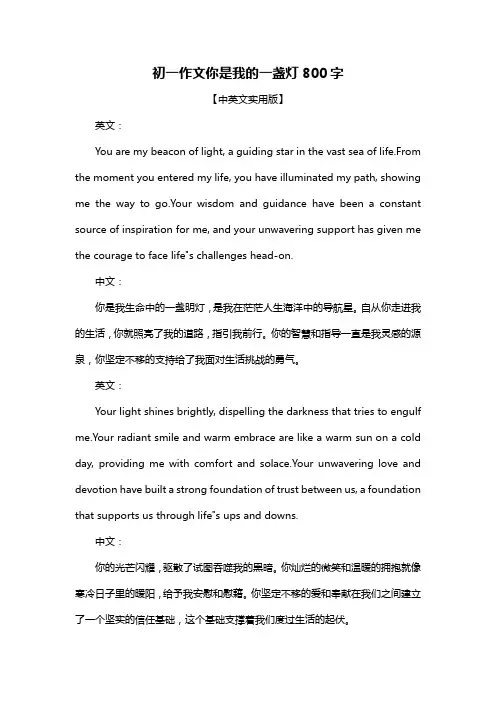 初一作文你是我的一盏灯800字